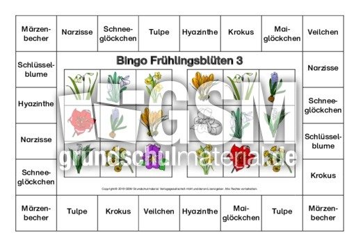 Bingo-Frühlingsblüten-3-B.pdf